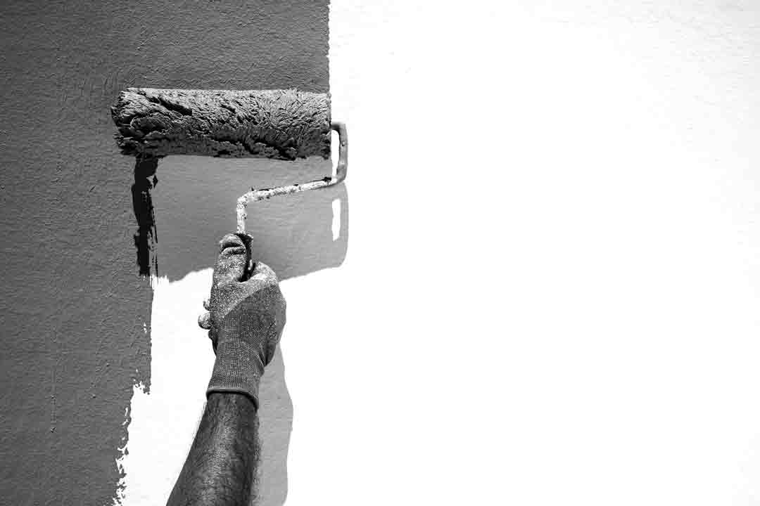 Catalogo pintura